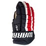 Bild von Warrior Dynasty AX3 Handschuhe Junior