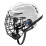 Picture of Warrior Covert PX2 Helmet Combo