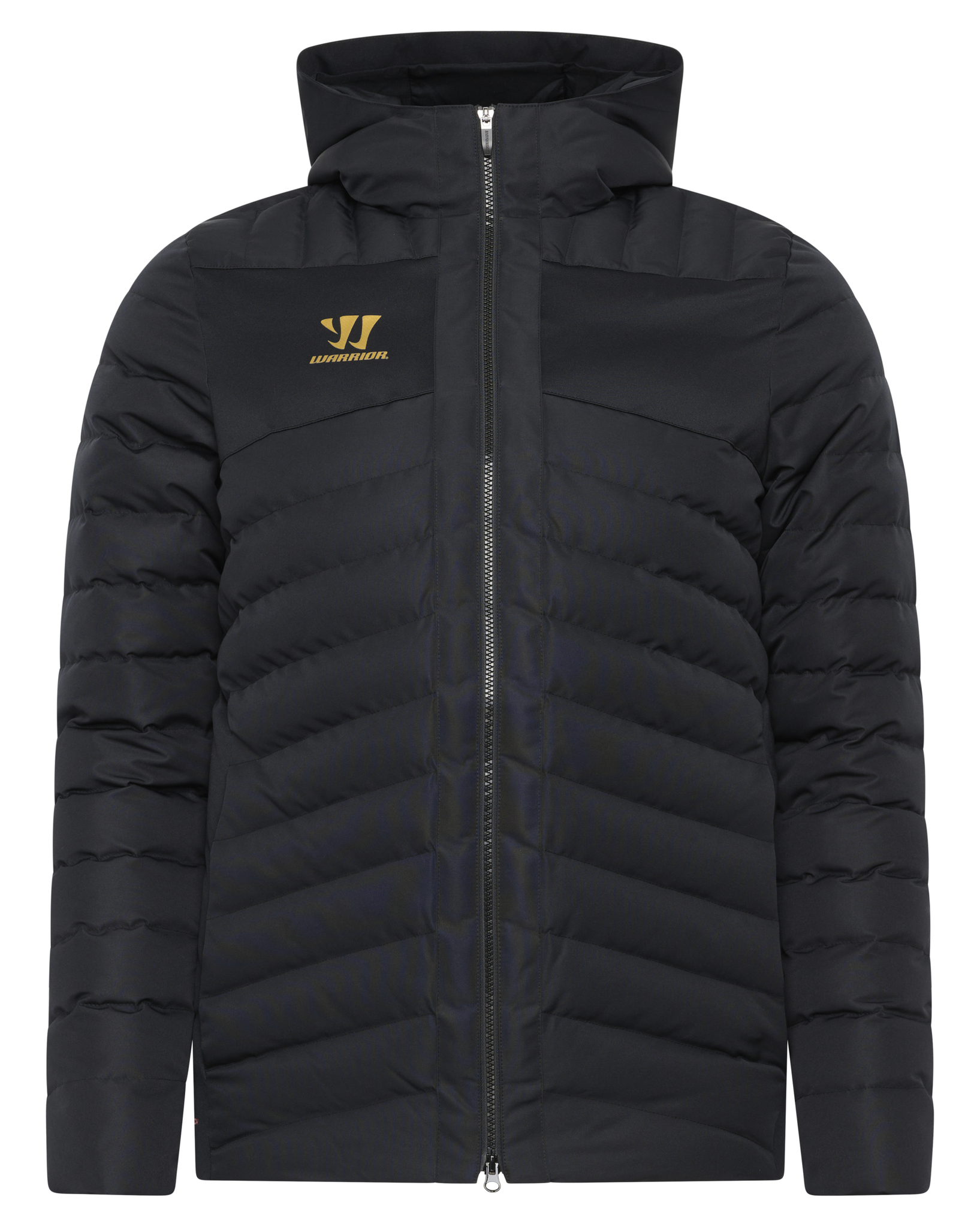 Picture of Warrior Senior Bekleidung Aurum Winterjacke