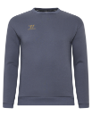 Picture of Warrior Junior Bekleidung Aurum Sweatshirt