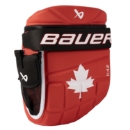 Picture of BAUER Glove Backpack - can