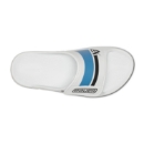 Изображение BAUER OOFOS® Sport Flex Slide - wht/blu - Sr.