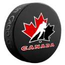 Picture of NHL Souvenir Puck Basic - Blister
