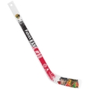 Picture of NHL Star Player Plastic Mini-Player Stick