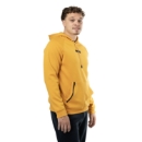 Picture of BAUER FLC Hoodie - gld - Sr.
