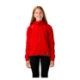Picture of BAUER Fleece Zip Hoodie Team - red - Yth.