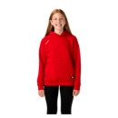 Picture of BAUER Team Hoodie Ultimate - red - Yth.