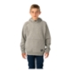 Изображение BAUER Team Hoodie Ultimate - gry - Yth.