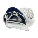 Picture of VAUGHN Catch Glove Ventus ION - Int.
