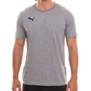 Picture of PUMA Teamgoal T-Shirt Grey Men - 2 Pack