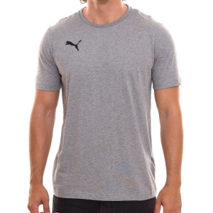 Picture of PUMA Teamgoal T-Shirt Grey Men - 2 Pack