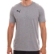 Picture of PUMA Teamgoal T-Shirt Grey Men - 2 Pack